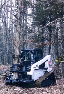 14 Forestry Tree Shear